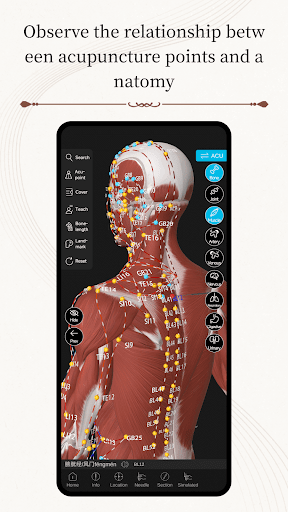 Acupuncture Master Screen 3
