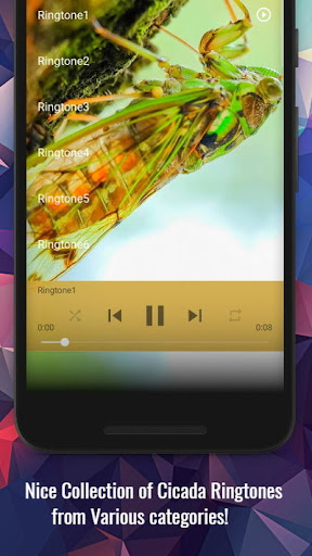 Cicada Sounds Screen 2
