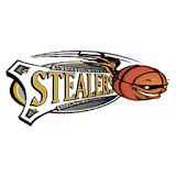 Winston-Salem Stealers icon