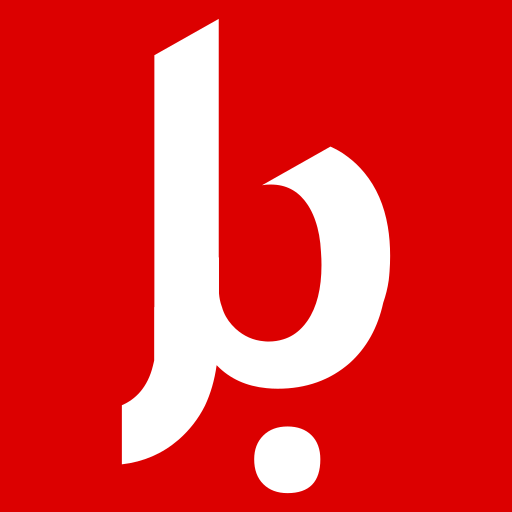 bringy logo