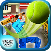 Cricket Street Cup Game