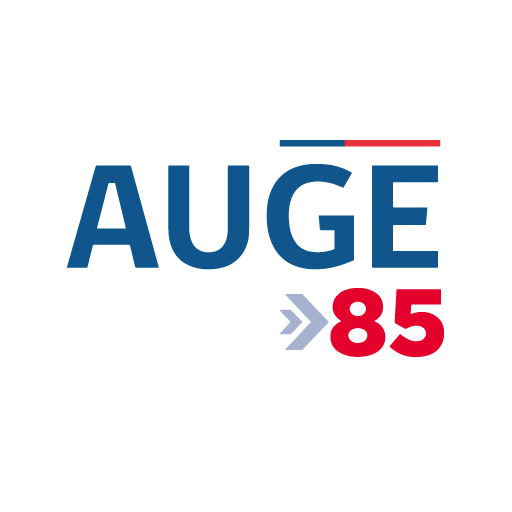 AUGE GES MINSAL logo