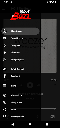 100.5 The Buzz Screen 3