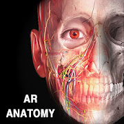 AR Anatomy