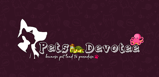 Pets Devotee