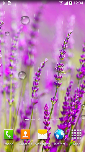 Autumn Flowers Live Wallpaper Screen 2