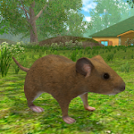Cover Image of ダウンロード マウスシミュレーター：ラット齧歯動物の生活  APK