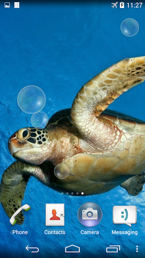 Android application Sea Turtle Underwater screenshort