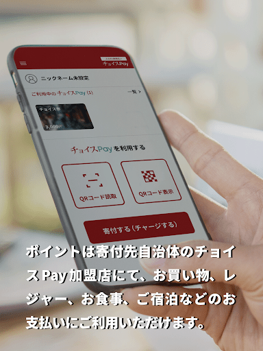 ふるさと納税払い チョイスPay_3
