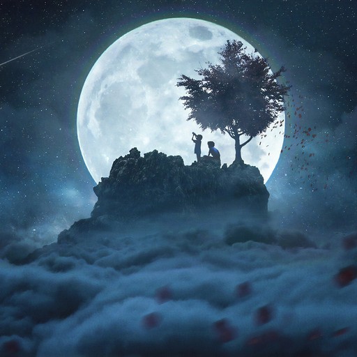 Moon Wallpapers Logo