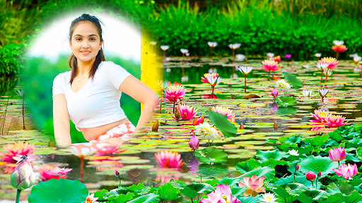 Lotus Pond Frames and Editor