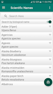 App-voorskou