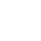 וונג icon
