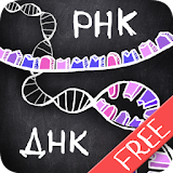 айМолекула: Биология ДНК Free icon