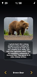 Animal Quiz: Guess the Animal 4