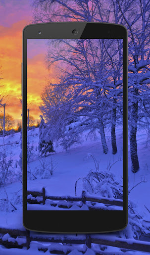 Rain Drops Live Wallpaper