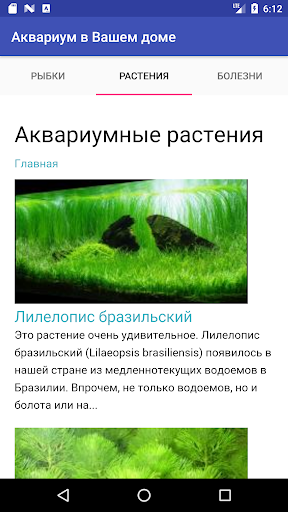 Аквариумные рыбки Screen 2