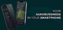 Feodal FMS APK