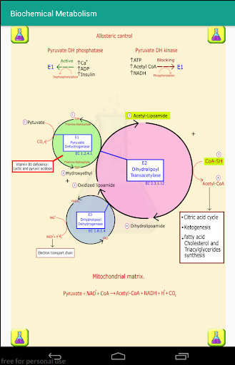 Biochemistry metabolic pathway