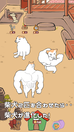 Game screenshot 柴犬を進化してみよう mod apk