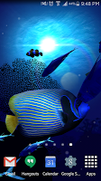 Ocean Blue 3D Live Wallpaper