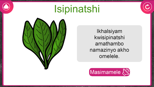 Xander Xhosa Fruit  Veg