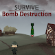 Survive - Bomb Destruction