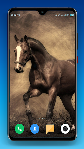 Horse Wallpapers 4K Screen 2