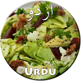Salads Recipes in Urdu icon