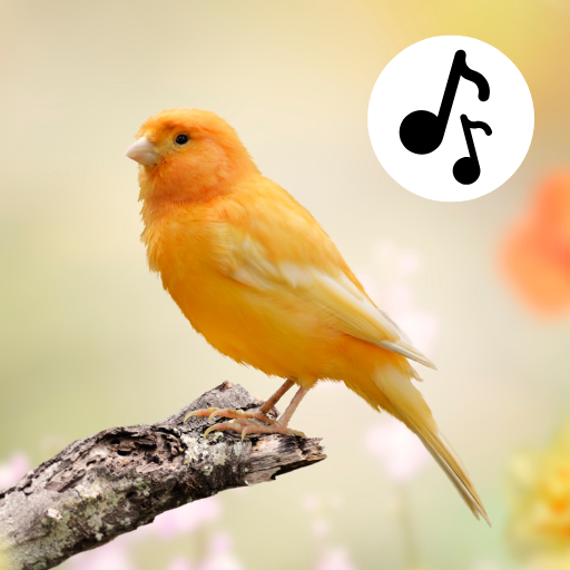 Bird Sounds, Calls & Ringtones logo