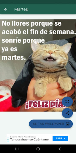 Saludos graciosos diarios Screen 3