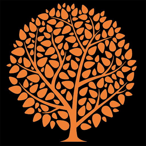 Sección Naranja logo