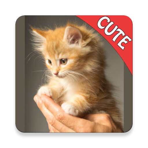 Cute Cats Memory Matching Game Logo
