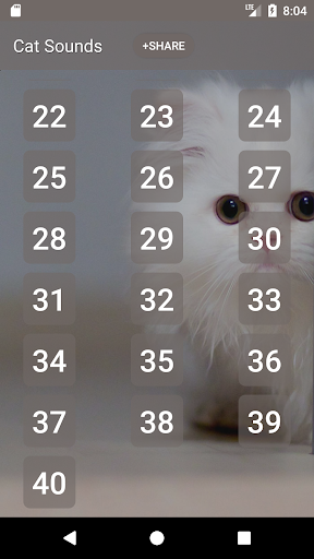 Cat Soundboard Screen 2