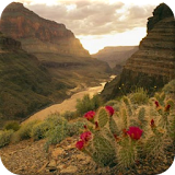 Grand Canyon Wallpapers icon