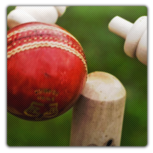  Chauka Cricket Scoring App 2.10 by Magnum Geo logo