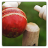 Chauka Cricket Scoring App2.10