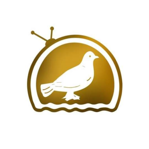 My Siasat logo