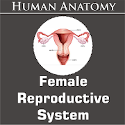 Top 17 Medical Apps Like Female Reproductive System - Best Alternatives