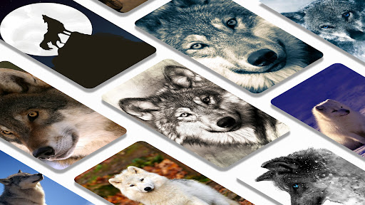 Wolf wallpapers backgrounds Screen 2