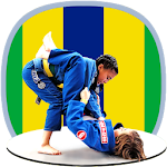 Cover Image of Download BJJ in brief  APK