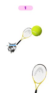 Dog & Cat Tennis