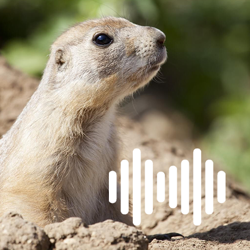 Prairie Dog Hunting Calls logo