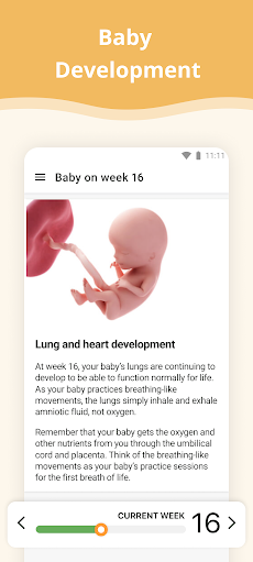 Pregnancy Appのおすすめ画像2