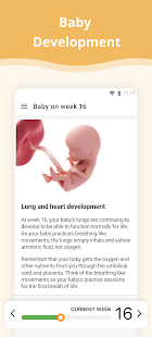 Pregnancy Week By Week 1.2.78 APK screenshots 2