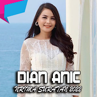 Dian Anic Mp3 Tarling Offline