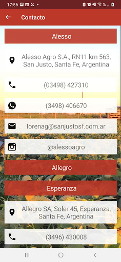 Grupo Allo Screen 3