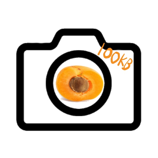 Reduce Camera Apricamera 100kb logo