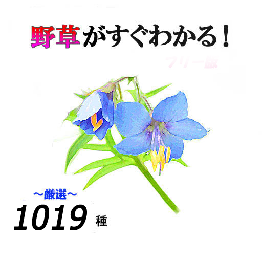 野草がすぐわかる（仮）統合版 logo