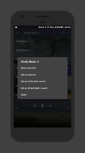 Study Music Screen 3